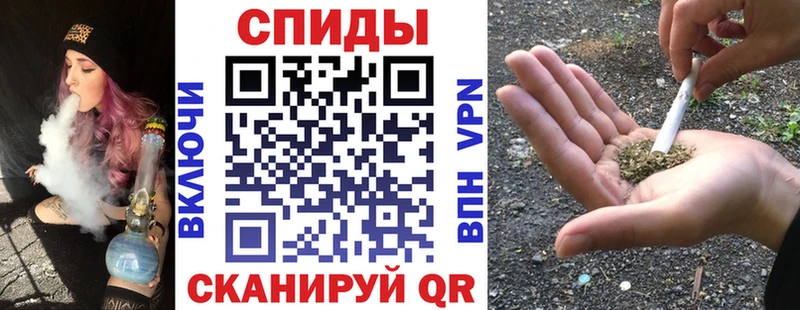 omg вход  Шенкурск  Бутират бутандиол  купить закладку 