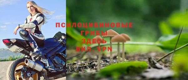 марки nbome Новодвинск