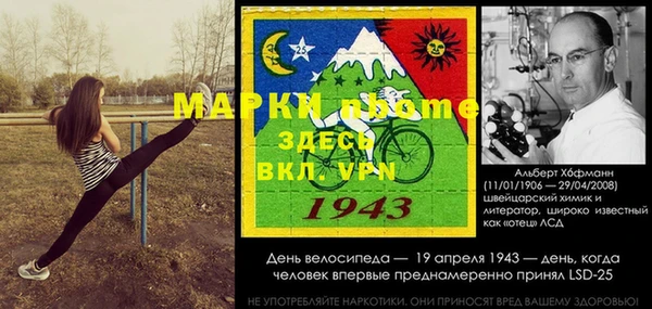гашик Новозыбков