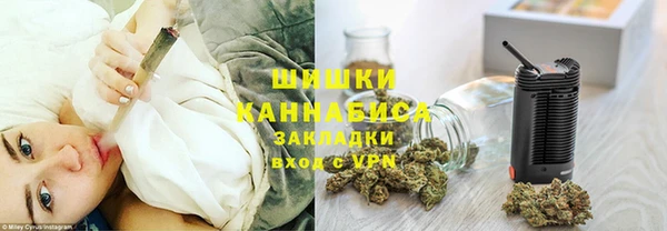 гашик Новозыбков