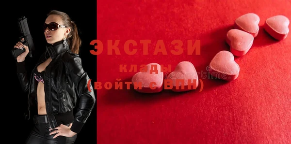 гашик Новозыбков