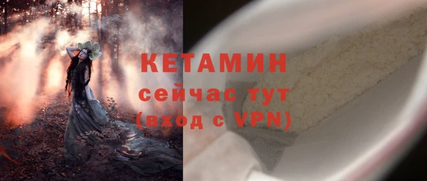 гашик Новозыбков