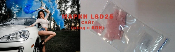 гашик Новозыбков