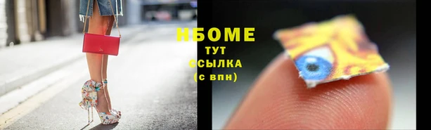 гашик Новозыбков
