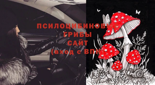 молекула духа Новокубанск