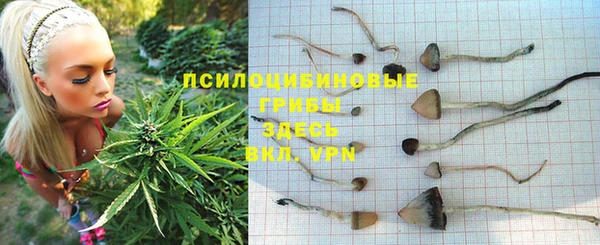 молекула духа Новокубанск