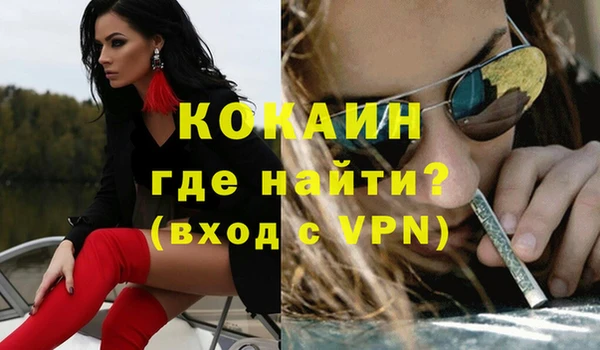 гашик Новозыбков