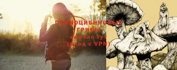 гашик Новозыбков