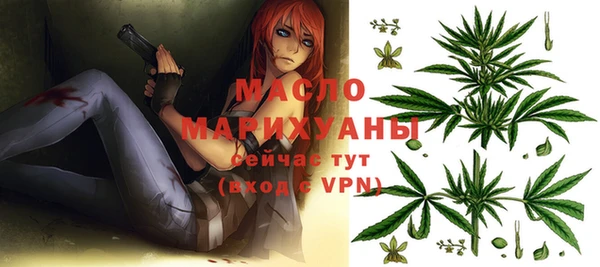 гашик Новозыбков