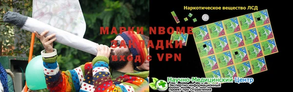гашик Новозыбков