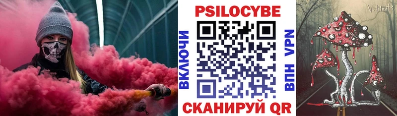 Галлюциногенные грибы Psilocybe  hydra как войти  Шенкурск 
